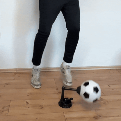 Clocy Trainer™+ training program