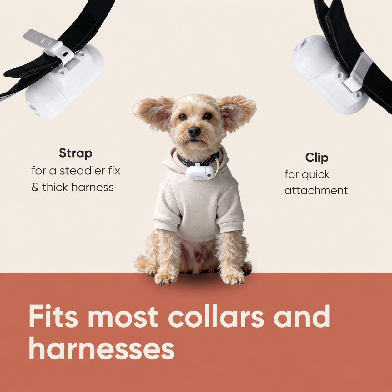 Custom Pet Collar Projector Light image 4