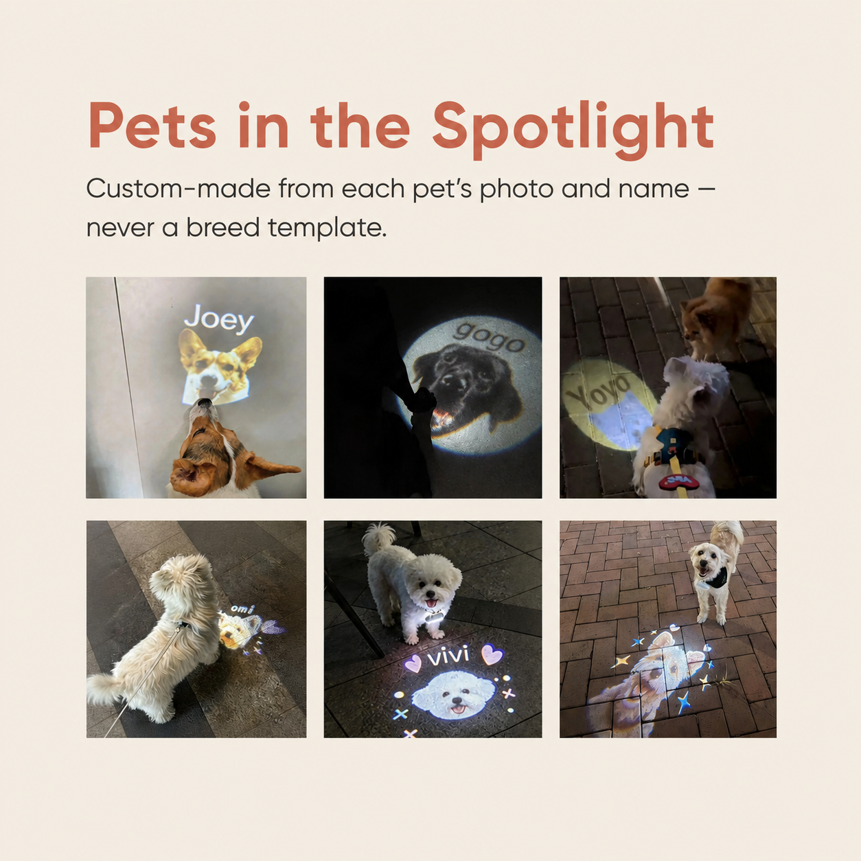 Custom Pet Collar Projector Light image 7