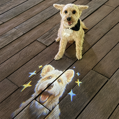 Custom Pet Collar Projector Light image 11