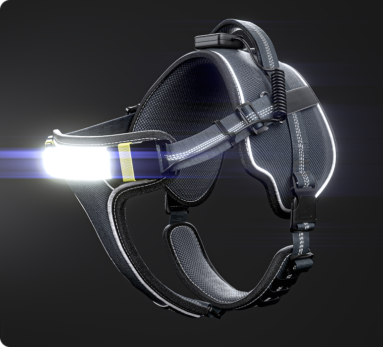 LED Light-Up Dog Harness