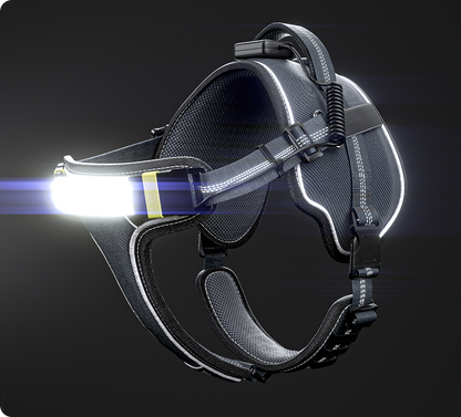 LED Light-Up Dog Harness