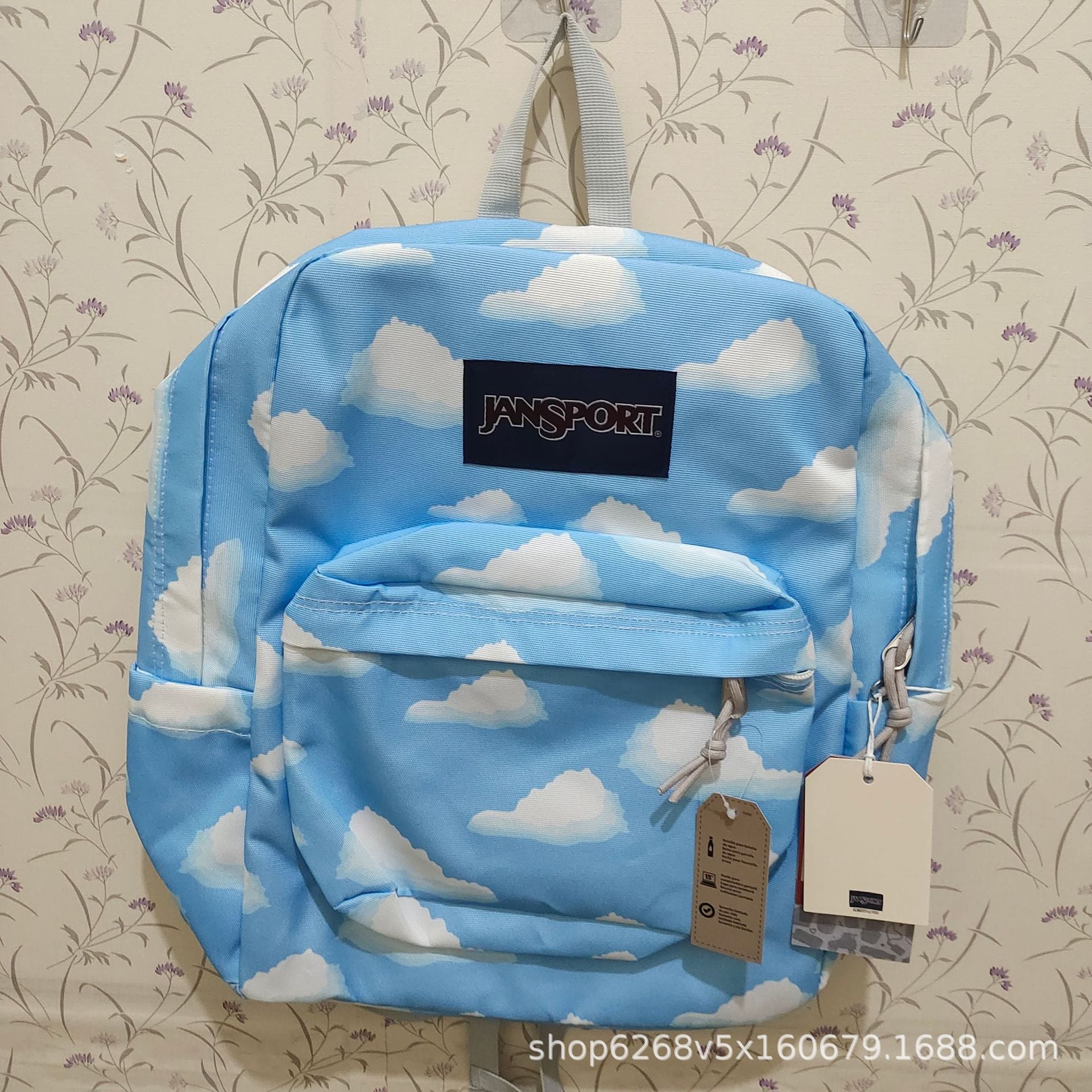 Style image - Blue Sky