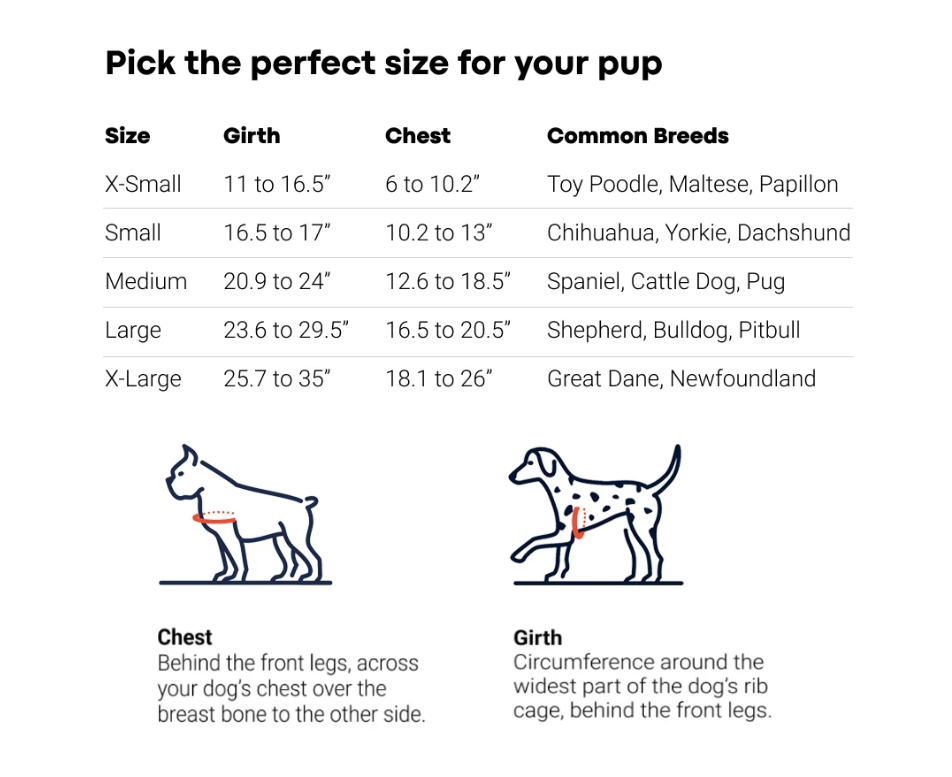 LED Light-Up Dog Harness