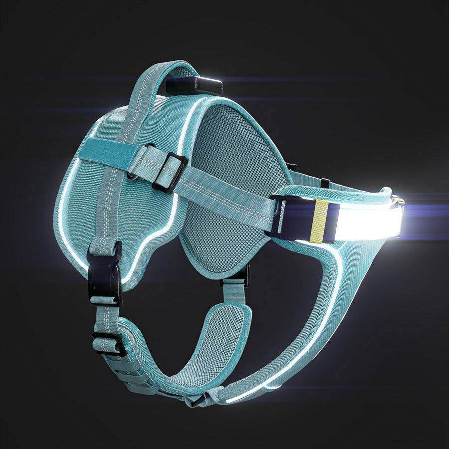 LED Light-Up Dog Harness