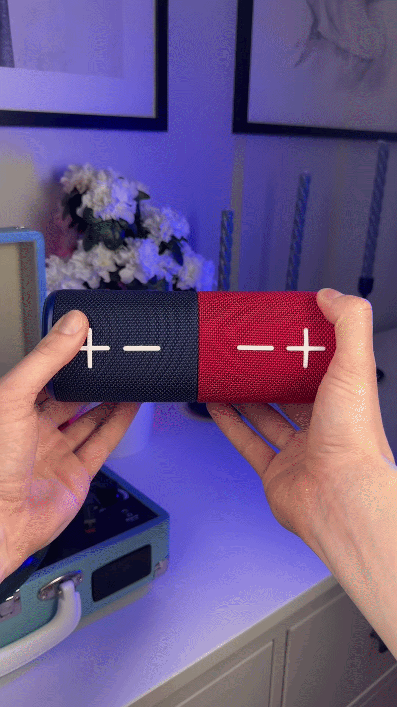 2-in-1 Magnetic Speaker