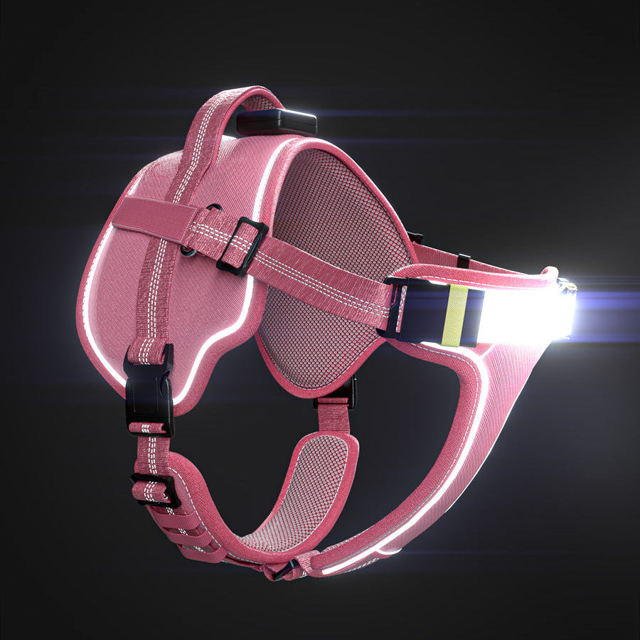 LED Light-Up Dog Harness